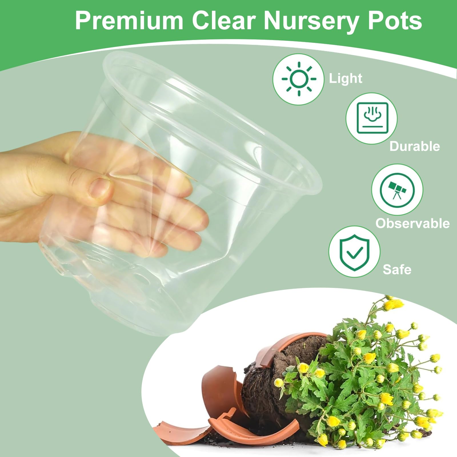 SLMKHHU 10-inch clear pot ideal for larger seedlings and fruiting vegetables