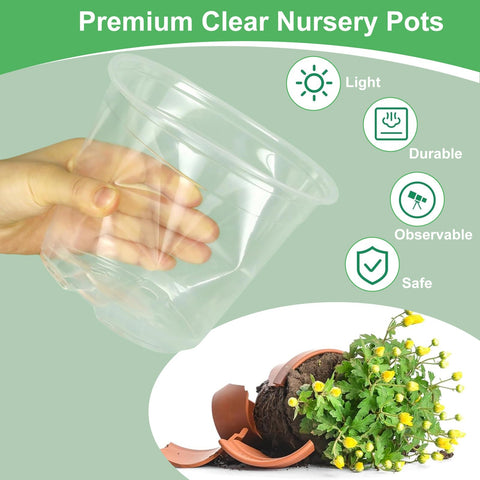 SLMKHHU 10-inch clear pot ideal for larger seedlings and fruiting vegetables