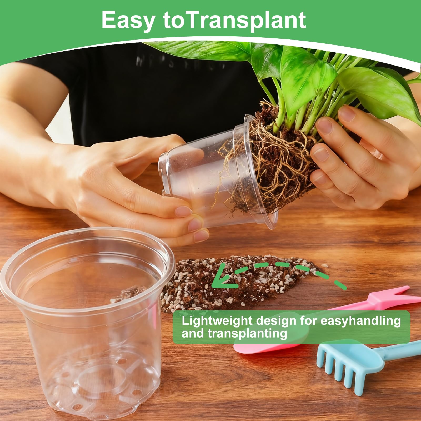 SLMKHHU clear pot used for seedling start indoors with easy root watching