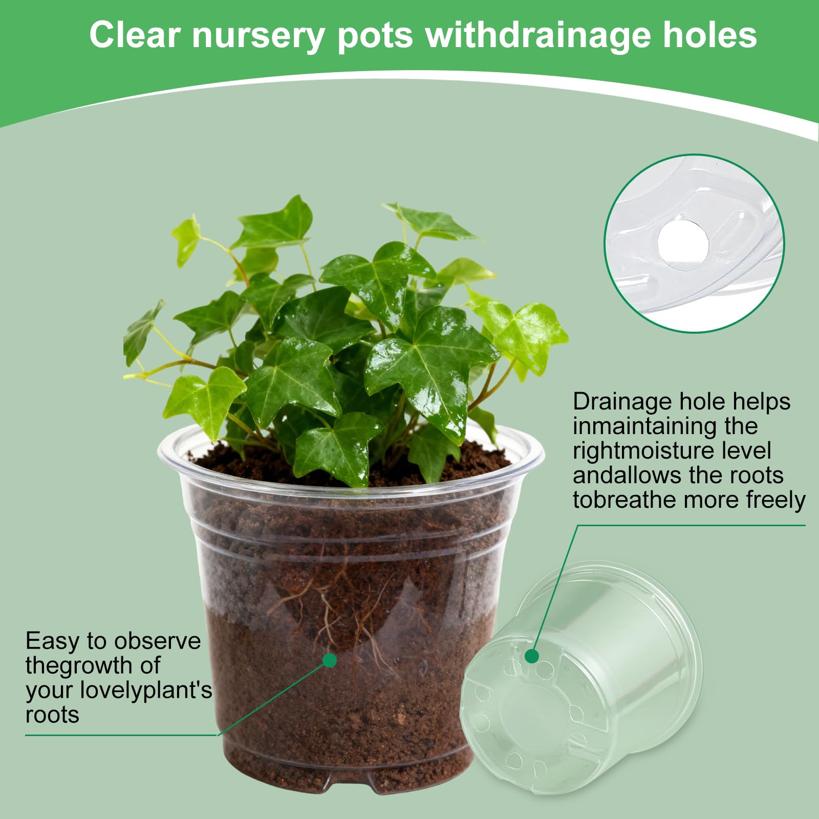 SLMKHHU clear pot with visible drainage holes supporting drainage and airflow