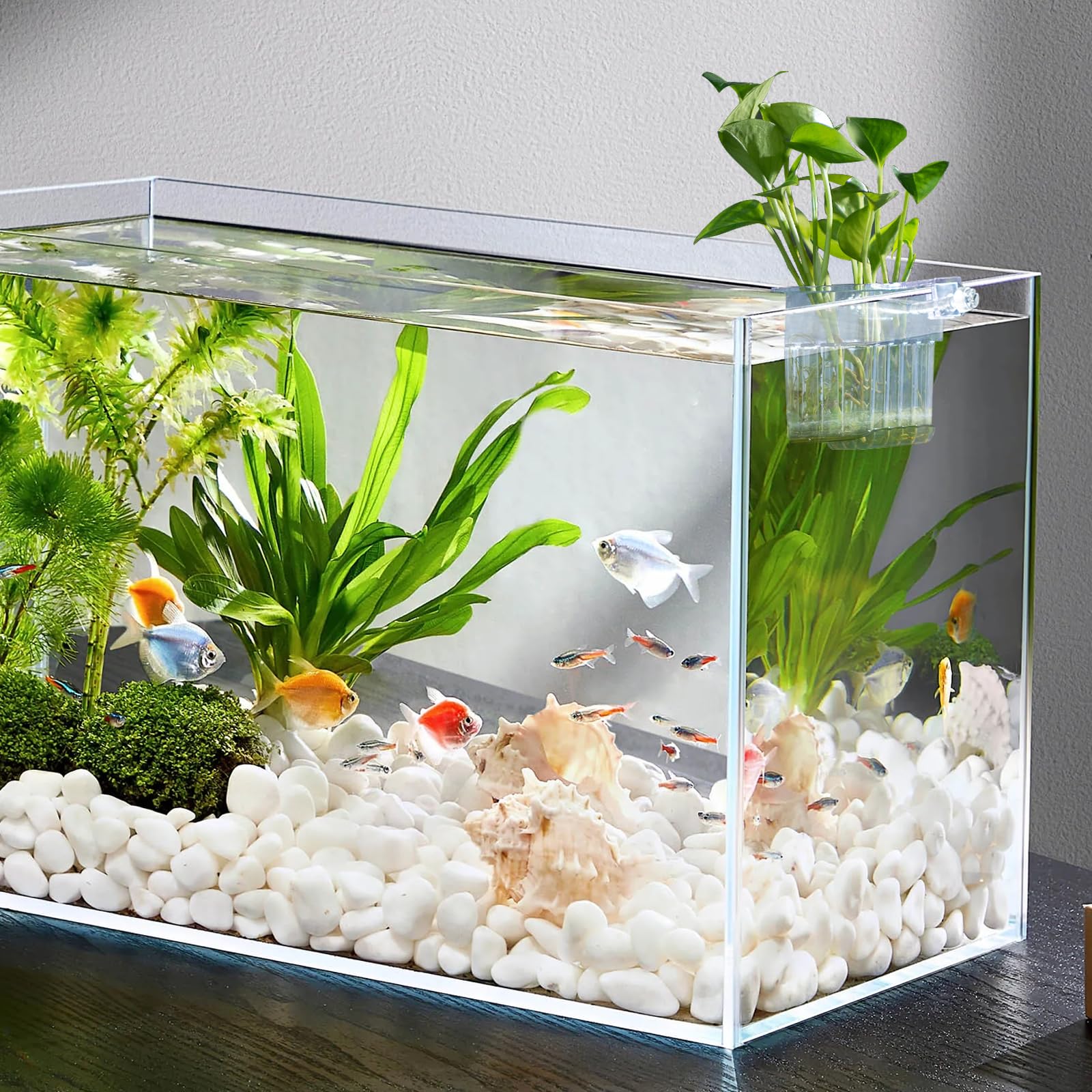 SLSON 2-pack ideal for nano tanks and larger aquascapes
