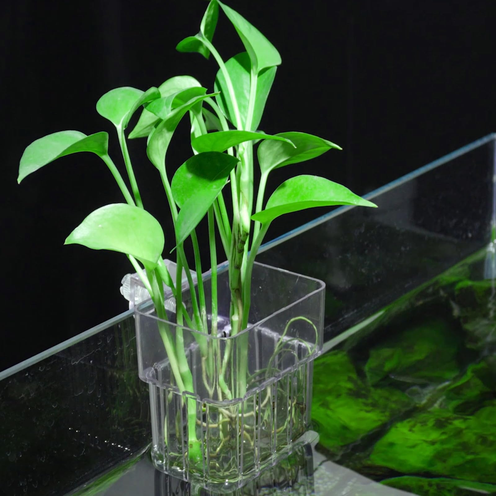 SLSON hanging pot with hooks and screws for quick secure installation