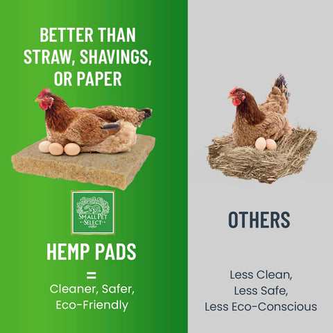 Small Pet Select eco-friendly hemp material supports sustainable coop bedding.