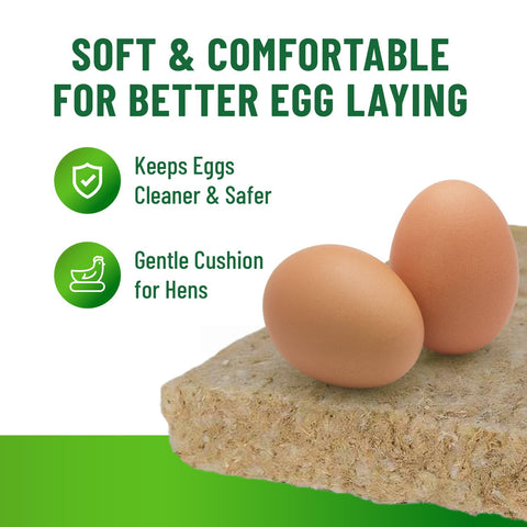 Small Pet Select nesting pads installed in a chicken nesting box.