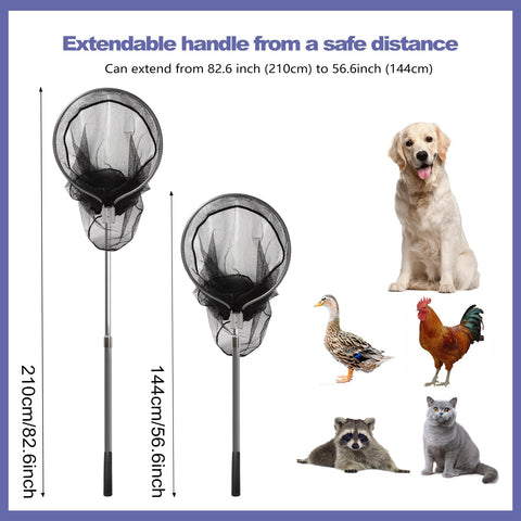 Smarkey poultry-chicken-net supports coop management and handling.