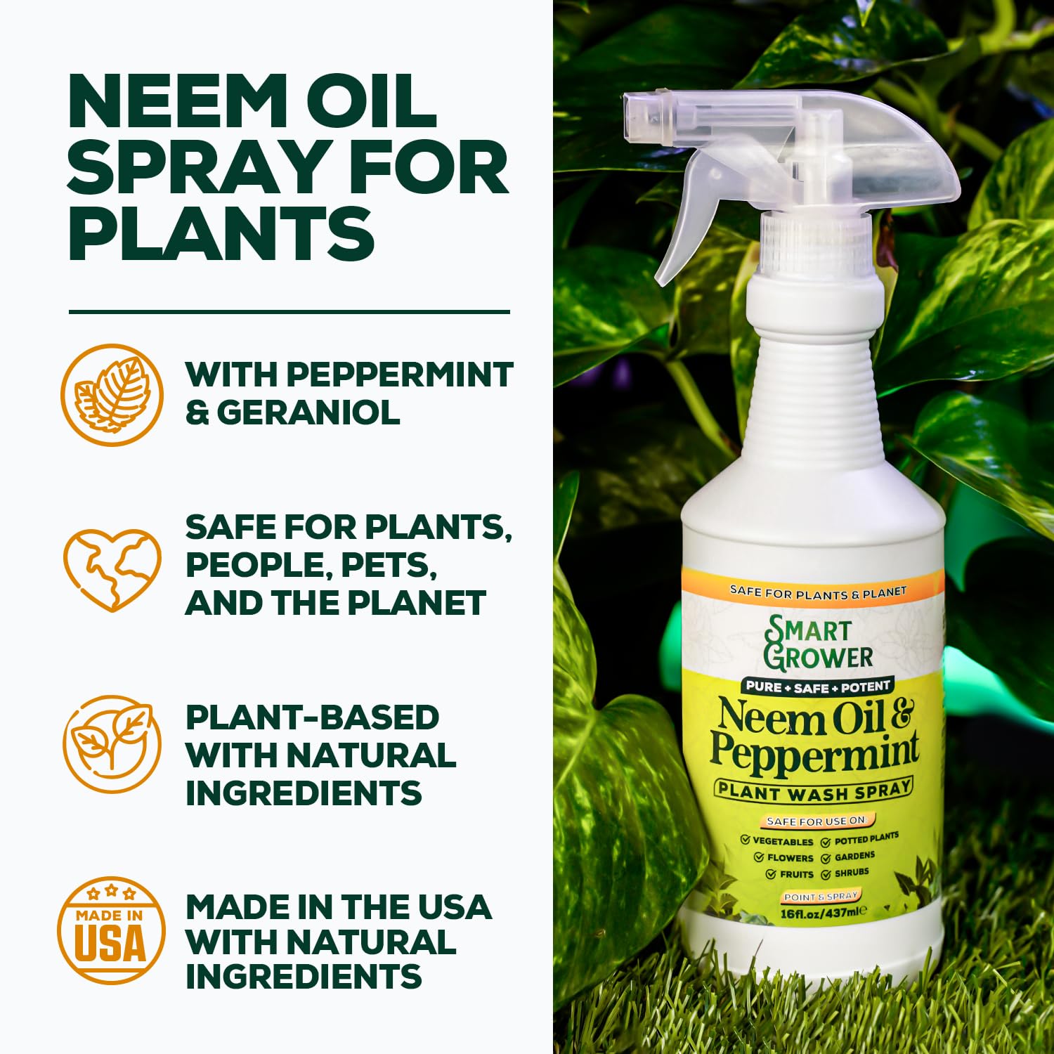 Smart Grower applying spray to plants to protect foliage.