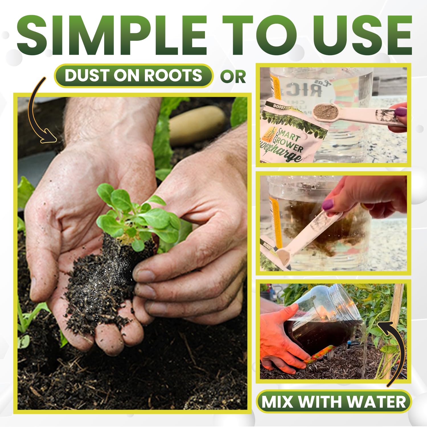 Bigger harvest potential as soil biology and nutrient uptake improve