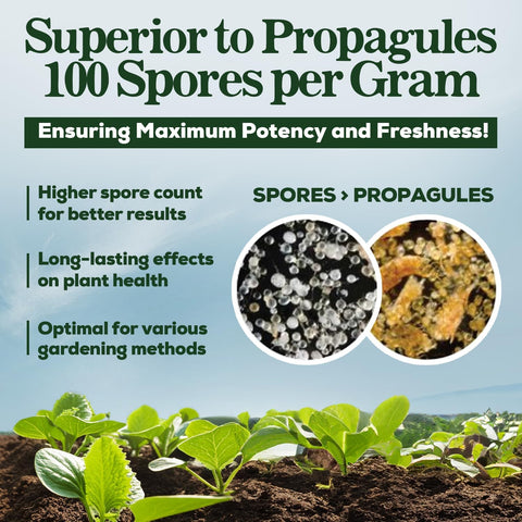 Smart Grower drench with water illustrates easy soil application.