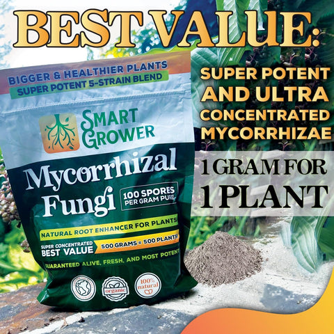 Smart Grower fruits and flowers show potential for better set and yield