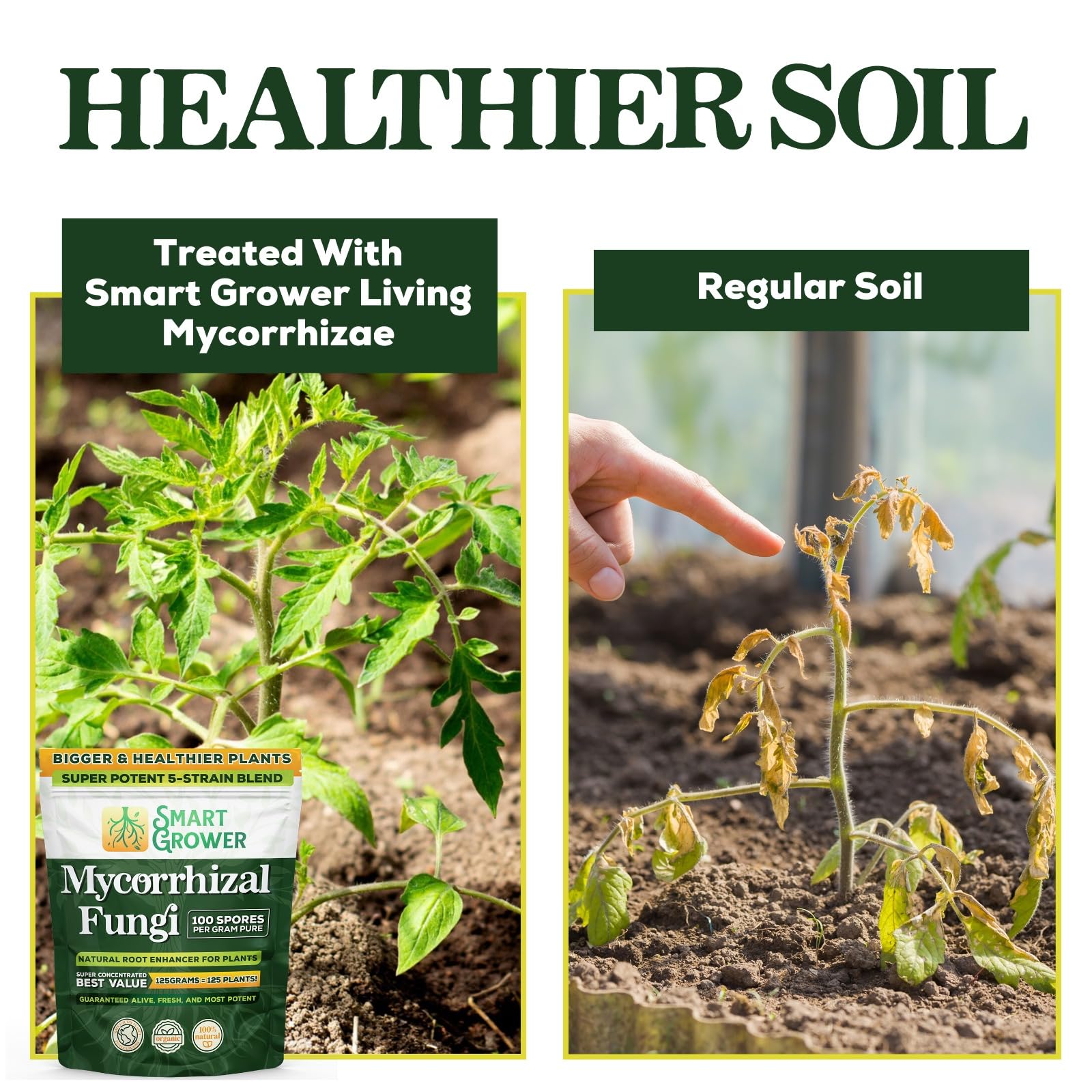 Smart Grower garden-use scene ideal for gardens, lawns, and houseplants.
