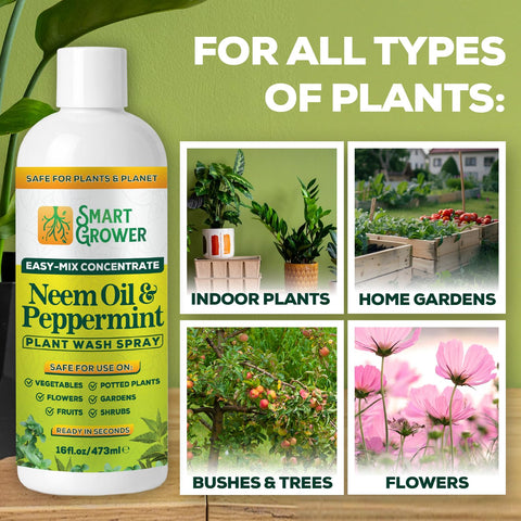 Garden and outdoor plants benefit from Smart Grower neem oil spray.