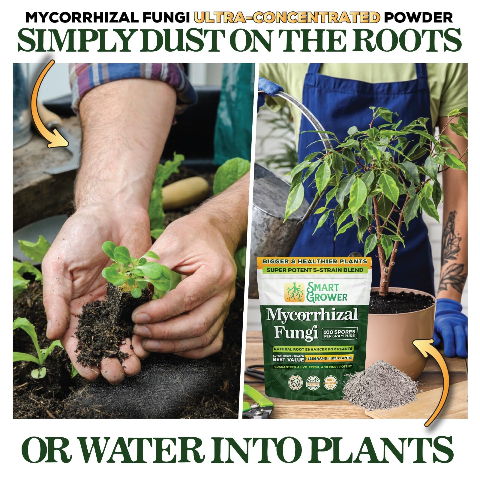 Smart Grower houseplants care scene demonstrates simple indoor use