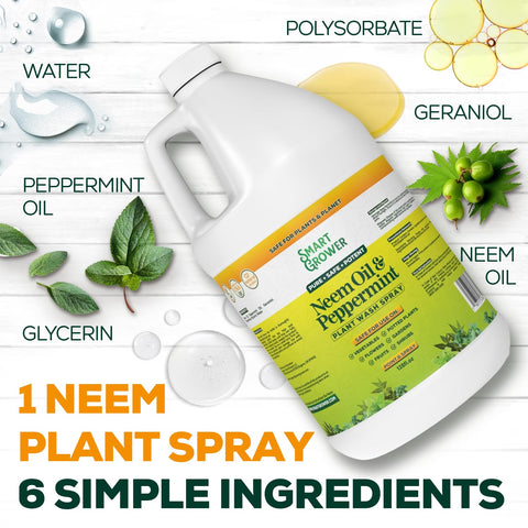 Smart Grower application on indoor and outdoor plants for gentle cleansing