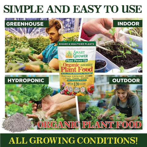 Smart Grower indoor plants flourishing with leafy greens and strong stems.