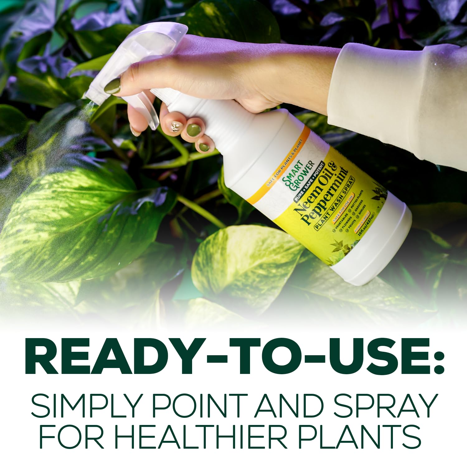 Smart Grower spray on lush leaves shows a healthy, shiny appearance