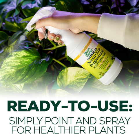 Smart Grower spray on lush leaves shows a healthy, shiny appearance