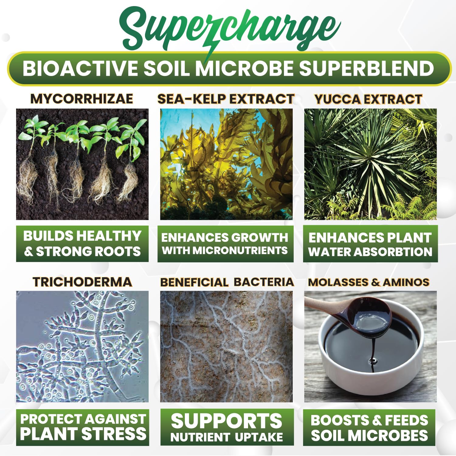 Smart Grower mycorrhizal fungi and bacteria blend promotes healthier soil biology