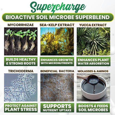 Smart Grower mycorrhizal fungi and bacteria blend promotes healthier soil biology