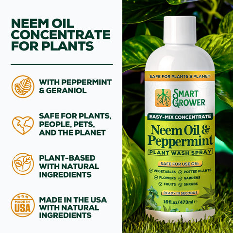 Smart Grower neem oil concentrate being measured for dilution before use.