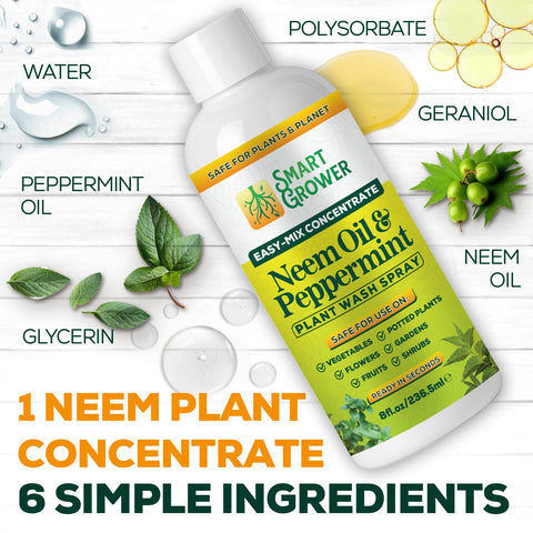 Smart Grower Neem Oil Spray on garden leaves showing even coverage