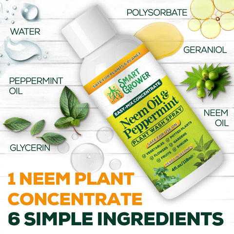 Smart Grower neem oil spray applied to indoor houseplants