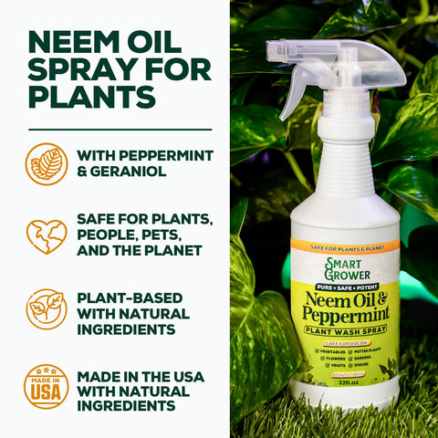 Neem oil spray on glossy leaves for shine and protection from pests