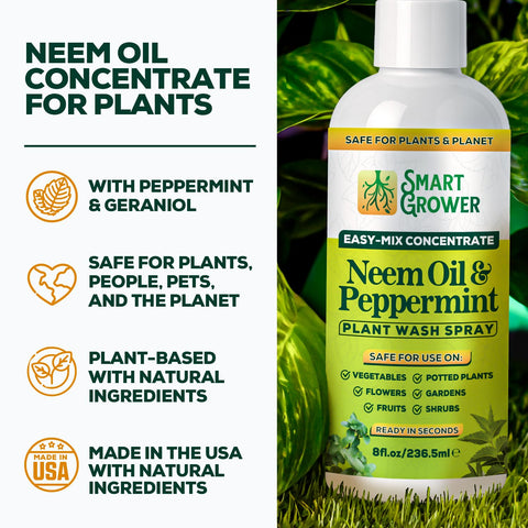 Smart Grower Neem Oil Spray mist on indoor plants supports healthy growth and shine
