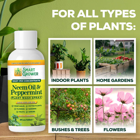 Smart Grower neem oil spray used on outdoor garden plants