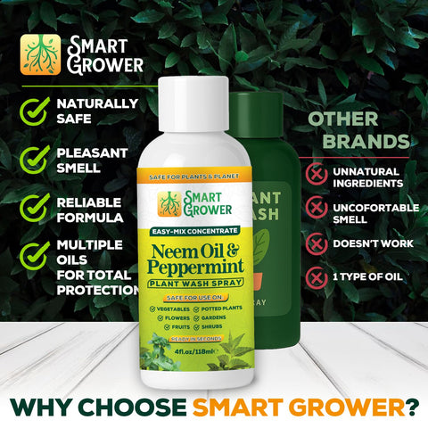 Smart Grower neem oil spray pet-friendly dilution guidance for homes