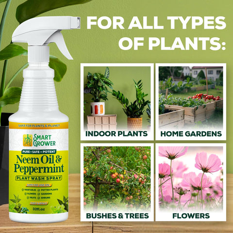 Smart Grower neem oil spray demonstrates safe use around pets when directed