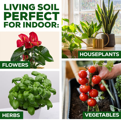 Smart Grower soil in planter demonstrates ready-to-use convenience for quick planting.