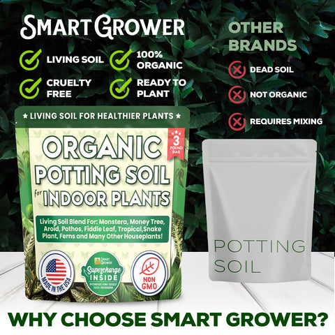 Smart Grower soil bottle next to herbs for indoor herb garden setup.