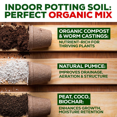 Smart Grower indoor plants with healthy greens anchored by nutrient-rich mix.