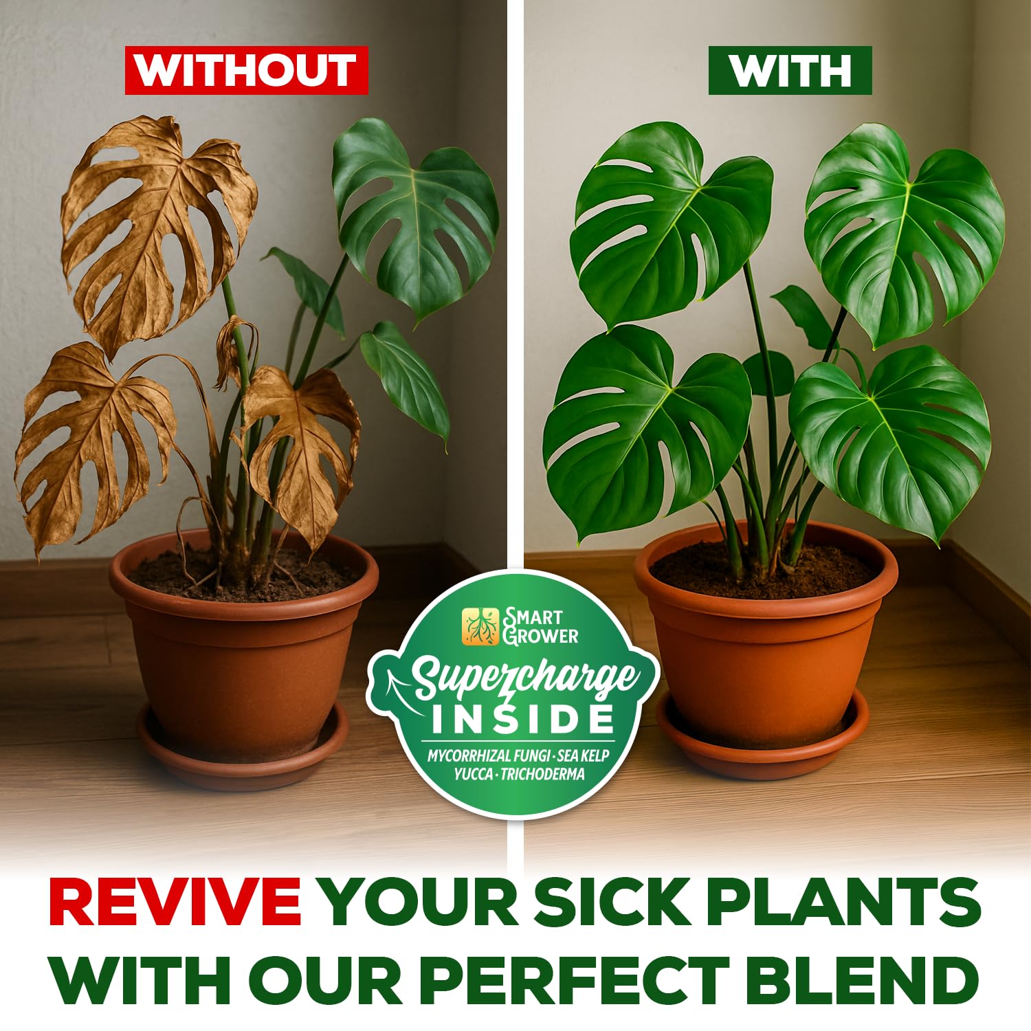 Smart Grower root-boost blend in soil showing potential for stronger root development.