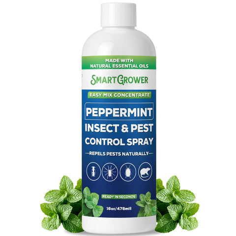 Smart Grower Peppermint Insect Concentrate bottle ready for easy home pest control.