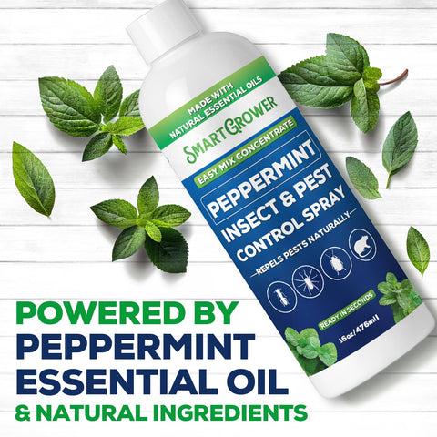 Smart Grower Peppermint Insect Concentrate spray for indoor and outdoor use.