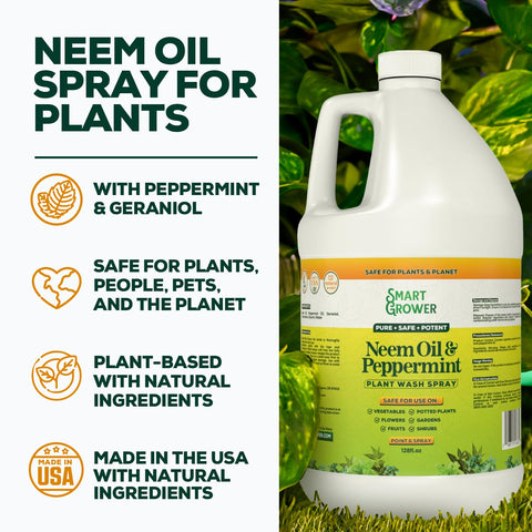 Smart Grower peppermint oil on leaves, adding natural aroma and cleansing effect