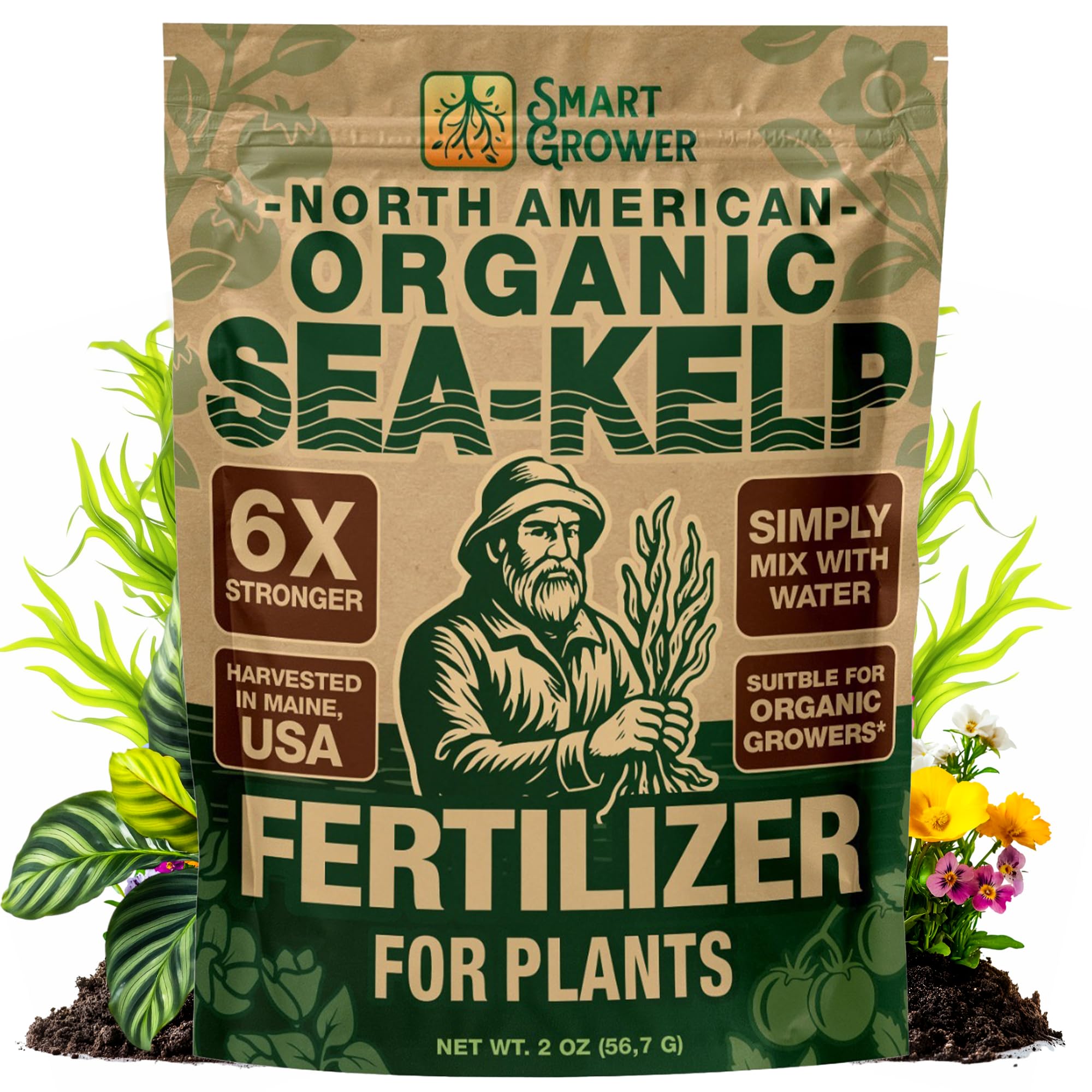 Smart Grower Sea-Kelp fertilizer bottle boosts nutrient uptake for lush indoor plants.