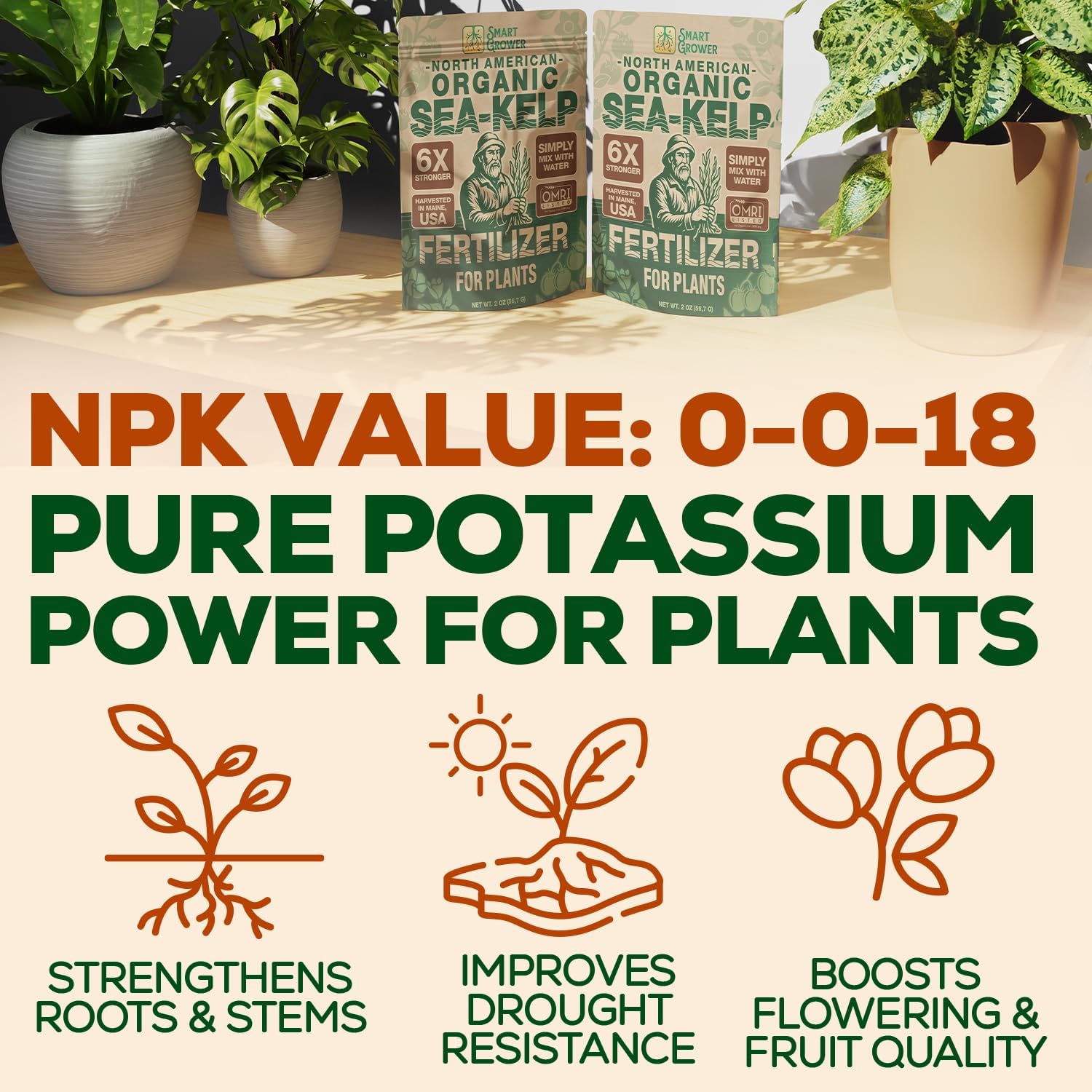 Smart Grower Sea-Kelp supports healthy houseplants