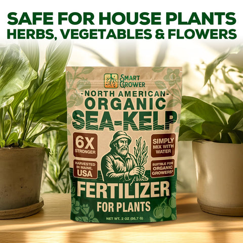 Smart Grower 2oz bag of sea-kelp meal supports strong root growth in seedlings.