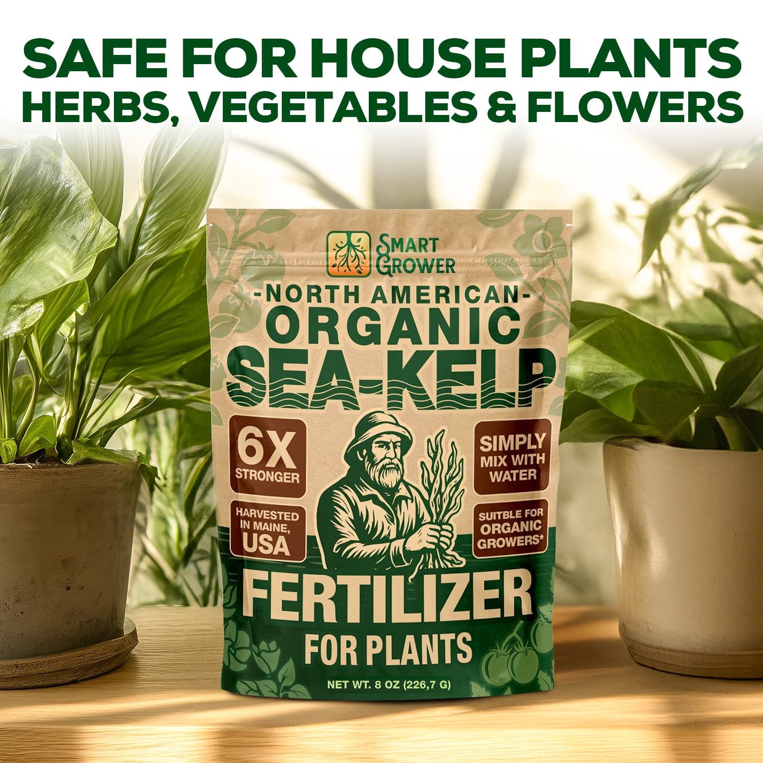 Smart Grower Sea-Kelp measured into water for plant nutrition.
