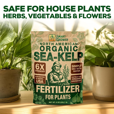 Smart Grower Sea-Kelp measured into water for plant nutrition.