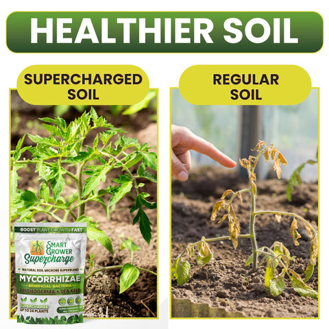 Smart Grower sea kelp ingredient image highlights natural growth support
