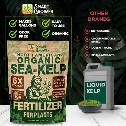 Smart Grower Sea-Kelp small-batch harvest imagery