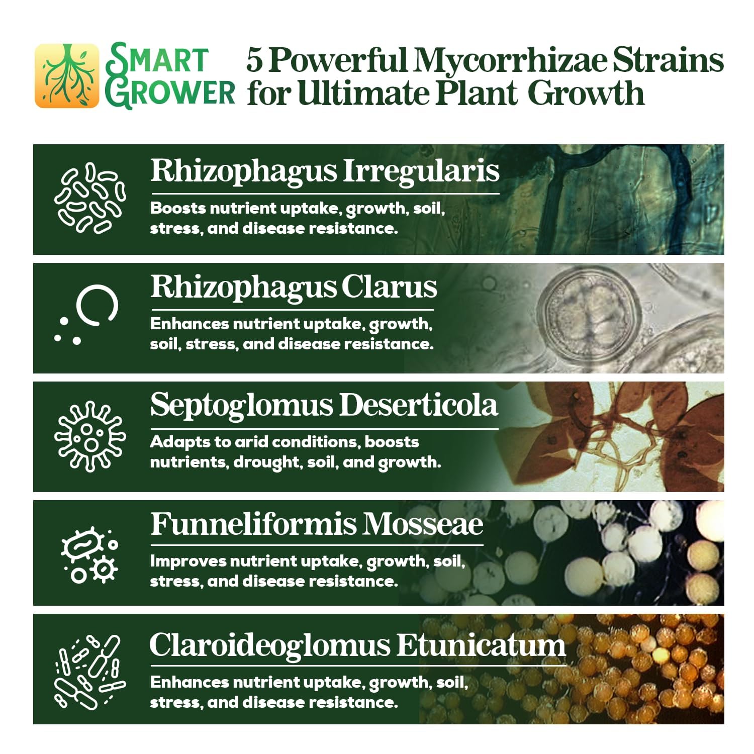 Smart Grower spores closeup highlights live spores for quick root establishment.