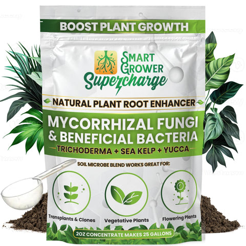 Smart Grower root-enhancer powder bottle close-up shows concentrated formula boosting root health