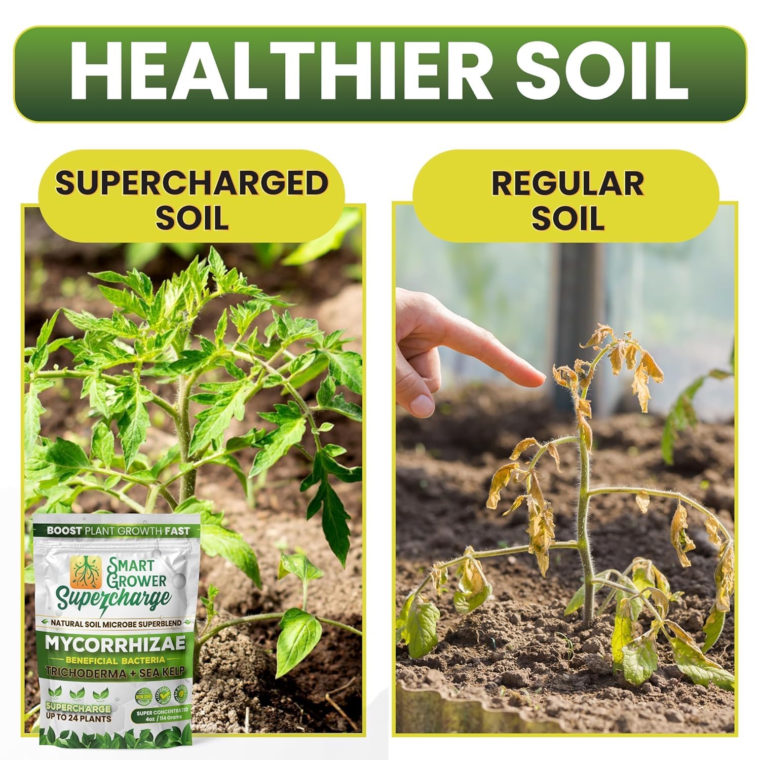 Smart Grower Trichoderma action promotes root growth and natural defense