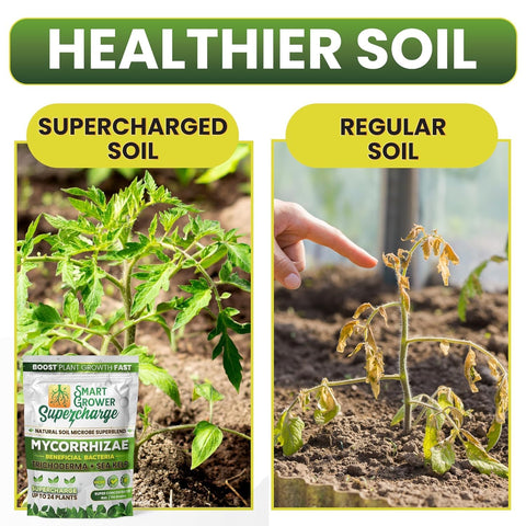 Smart Grower Trichoderma action promotes root growth and natural defense