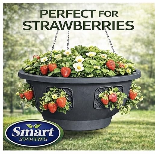 Smart Spring Ultimate Hanging Baskets displaying flowers to brighten a balcony.