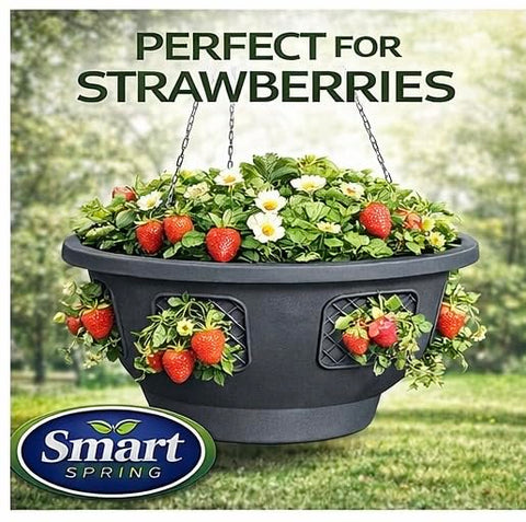 Smart Spring Ultimate Hanging Baskets displaying flowers to brighten a balcony.